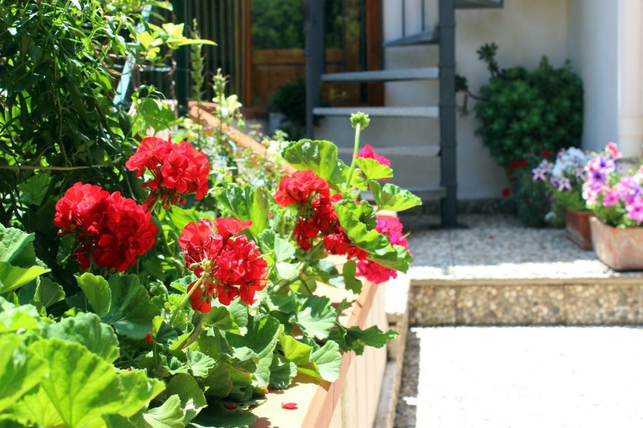 Raggio Di Sole Bed & Breakfast Macari Zewnętrze zdjęcie
